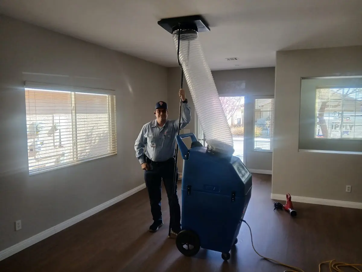 Professional Dryer Vent Cleaning work inside a Cahokia Heights home